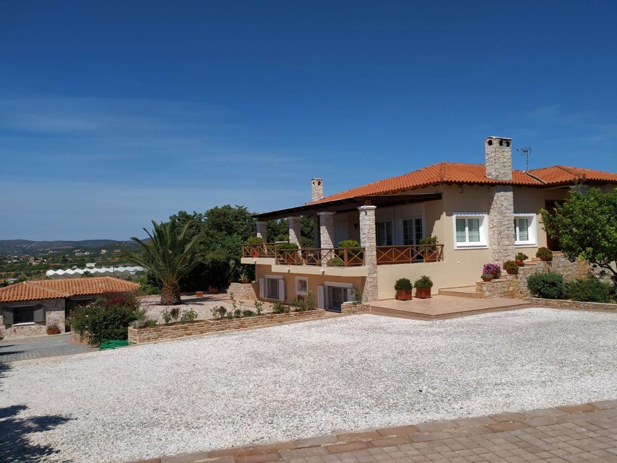 Villa Vena Palaia Fokaia Exterior photo