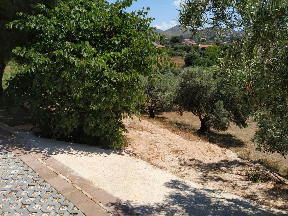 Villa Vena Palaia Fokaia Exterior photo