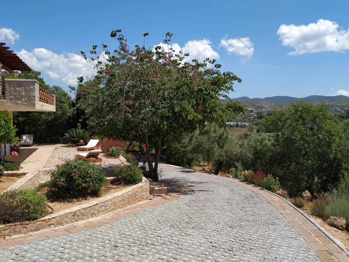 Villa Vena Palaia Fokaia Exterior photo