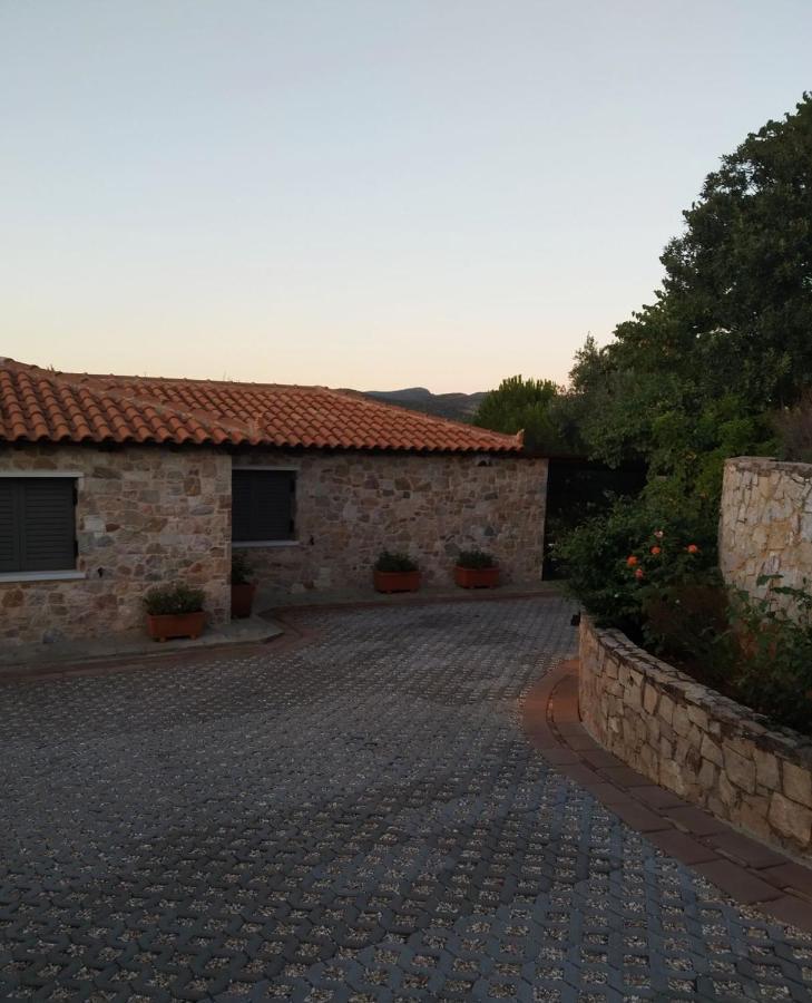 Villa Vena Palaia Fokaia Exterior photo